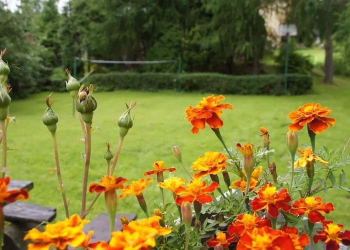 Dom Wczasowy Goralowka 게스트하우스 Międzybrodzie Bialskie